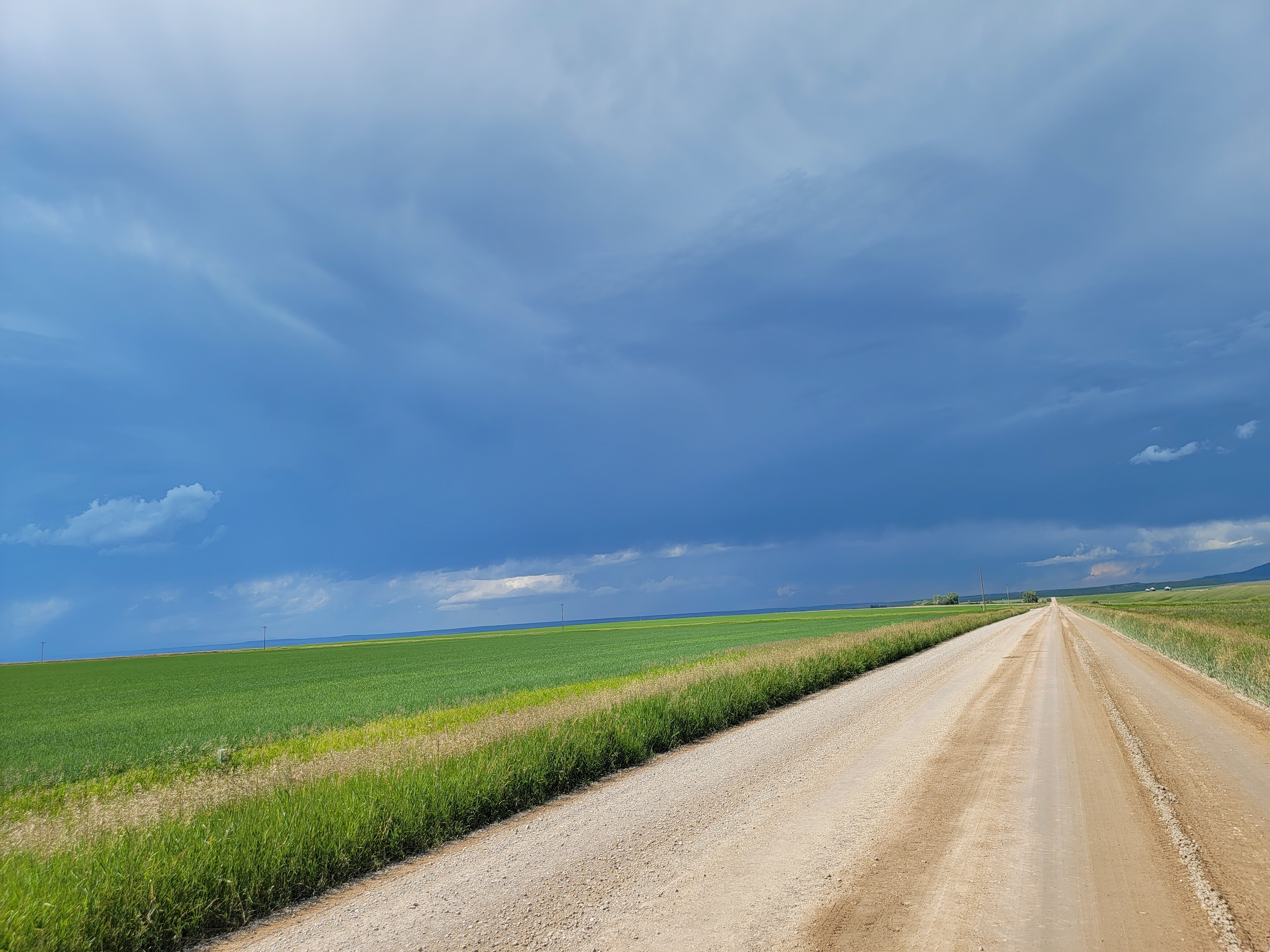 Looking Down the Road